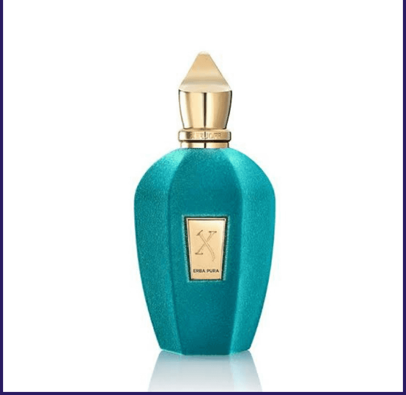 Erba Pura by Xerjoff perfume